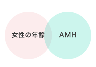 卵巣機能評価 AMH
